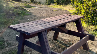A Picnic Table with Stolen Chairs