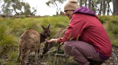 Josephine Mary Schmidt feeding two wallabies in the South Australia bush in the Adelaide Hills where she is from.