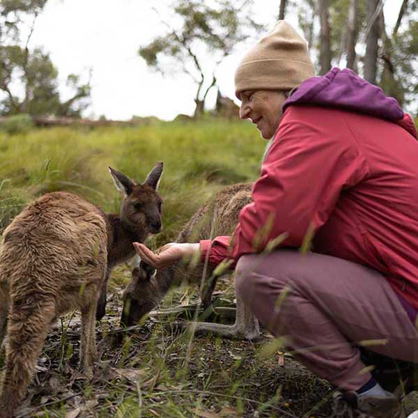 Josephine Mary Schmidt feeding a wallaby in the Adelaide Hills in South Australia, her homeland.