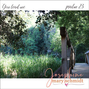 Album artwork of a photograph looking across a bridge to the right with lush trees and tall grass to the left.