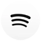 Spotify Music Streaming Services Icon
