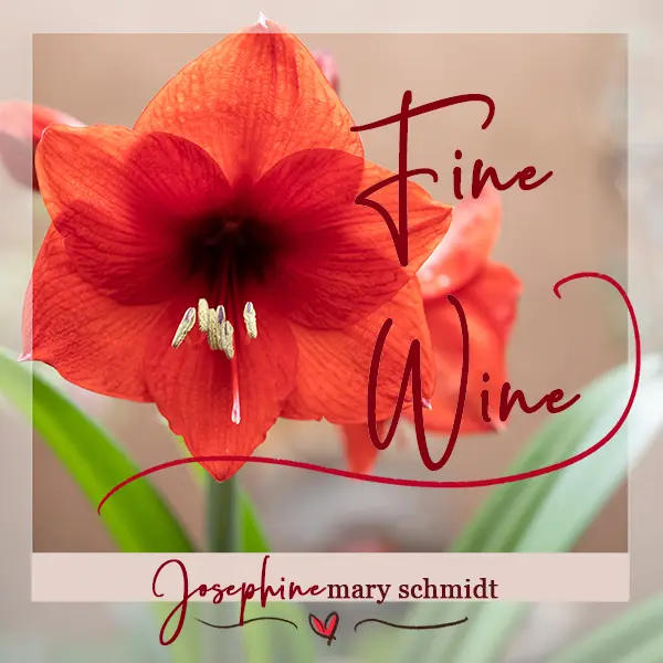 Album artwork for Fine Wine by Josephine Mary Schmidt featuring a red lion amaryllis flower.