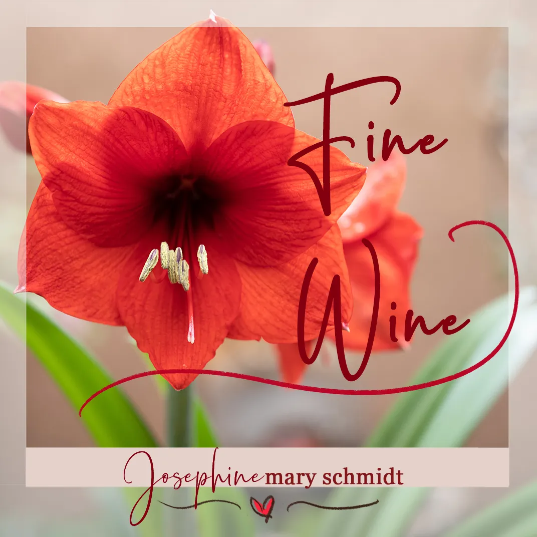 Art cover for full-length studio album Fine Wine by music artist Josephine Mary Schmidt.