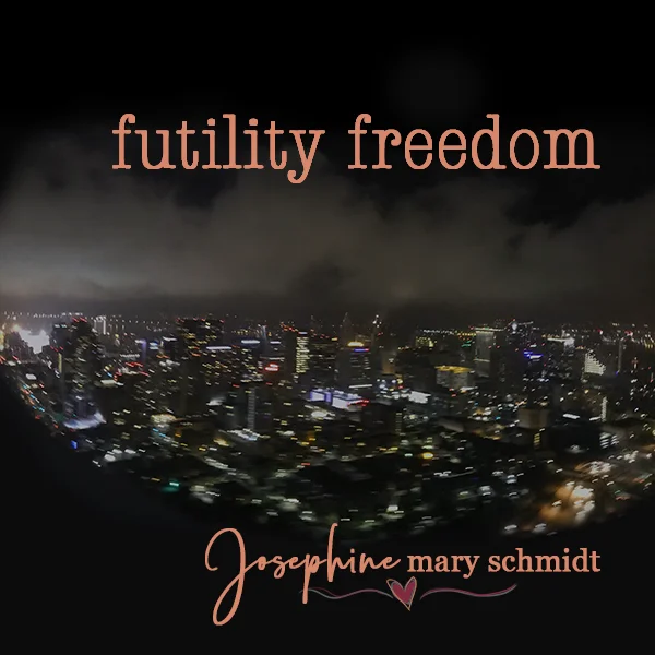 Single artwork for Futility Freedom by Josephine Mary Schmidt: photograph taken from a plane at night landing into San Diego.