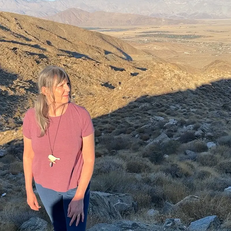 Josephine Mary Schmidt standing off the side of the road at the top of the Borrego Springs mountain range with the town below